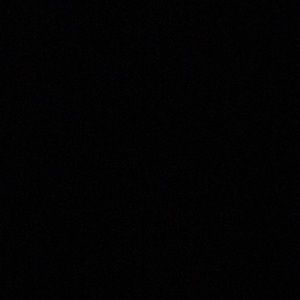 Meet your Posher, Tanner